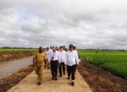 Pemerintahan Prabowo Gibran Berkomitmen Tingkatkan Kesejahteraan di Papua