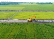 Program Cetak Sawah Bantu Langkah Optimalisasi Lahan untuk Tingkatkan Produksi Pangan