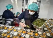 Investor Asing Jajaki Peluang Dukung Program MBG