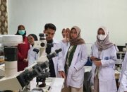 Pendidikan & Kesehatan Jadi Prioritas! Pemerintah Gaspol Demi Masa Depan Indonesia