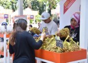 Pemerintah Komitmen Tingkatkan Kuantitas dan Kualitas Pembiayaan UMKM