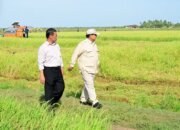 Komitmen Presiden Prabowo Bangun Swasembada Pangan Mendapat Apresiasi Publik