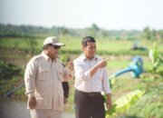 Presiden Prabowo Perkuat Infrastruktur Pertanian Menuju Swasembada Pangan yang Berkelanjutan