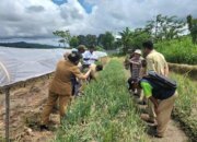 Sinergitas Pusat dan Pemprov Papua Barat Wujudkan Program Ketahanan Pangan Nasional