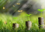 Pemerintah Tingkatkan Kerja Sama Kembangan Ekonomi Hijau Demi Kesejahteraan Rakyat