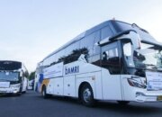 Pemerintah Beri Diskon Tiket Transportasi Umum pada Mudik Lebaran 2025