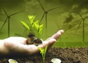 Program Ekonomi Hijau Menarik Minat Investasi Vietnam