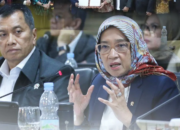 Kepastian Pengangkatan CASN Dijamin Inpres, Presiden Minta Masyarakat Tenang