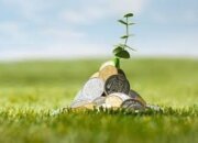 Kebijakan Fiskal Ramah Lingkungan, Pemerintah Dorong Investasi Hijau