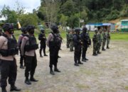 Mengutuk Kekejaman OPM: Seruan untuk Stabilitas dan Keamanan Papua