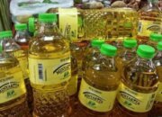 Pemerintah Tak Henti Bongkar Mafia Pengoplos Minyak Kita
