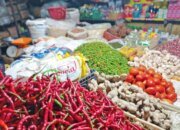 Pemerintah Pastikan Stok Bahan Pokok dan BBM Aman untuk Mudik 2025