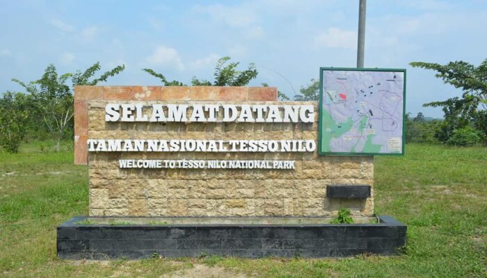 Apresiasi Langkah Pemerintah Selamatkan Taman Nasional Tesso Nilo dari Aksi Tindakan Ilegal