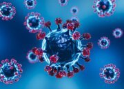 Pakar Kesehatan Sebut Pola Hidup Bersih Efektif Cegah Penularan Covid-19