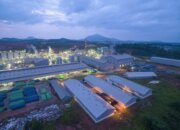 Hilirisasi Perkuat UMKM dan Ekonomi Daerah Jalan Menuju Pemerataan dan Kedaulatan Ekonomi Nasional