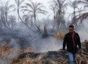 Pemerintah Dorong Peran Pengusaha Cegah Karhutla