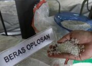 Pemerintah Berikan Sanksi Oknum Pelaku Kasus Beras Oplosan