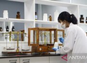 Apotek Desa Pastikan Ketersediaan Obat Esensial bagi Masyarakat