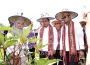 Pemerintah Pacu Swasembada Pangan dengan Optimalisasi Lahan