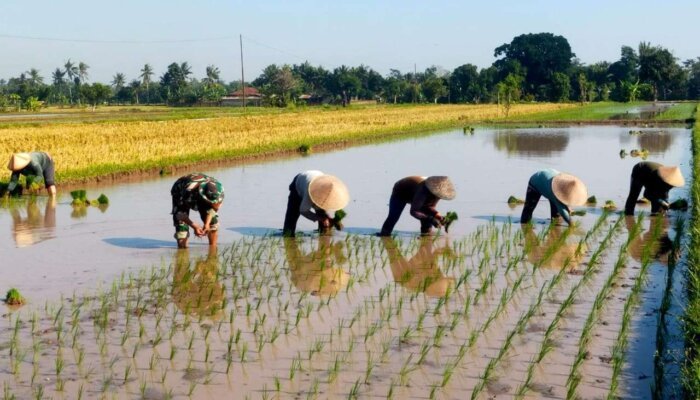 Transformasi Ekonomi Indonesia: Swasembada Pangan dan Energi Jadi Prioritas Strategis