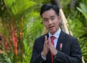 Wapres Gibran Fokus Tangani Papua, Komitmen Pemerintah Tuntaskan Masalah Papua