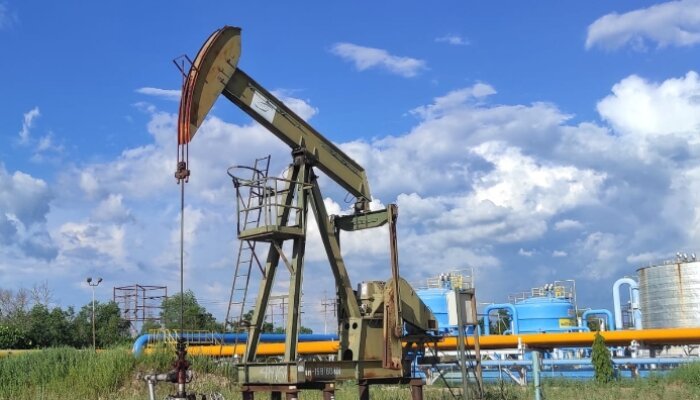 Swasembada Energi Jadi Visi Pembangunan Berkelanjutan Pemerintah
