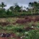 Pengalihan Tanah Terlantar Dorong Optimalisasi Lahan Produktif