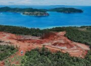 Pengelolaan Nikel yang Adil Dorong Percepatan Pembangunan Papua