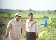 Swasembada Pangan Jadi Bukti Kedaulatan Bangsa, Bukan Sekadar Target Politik