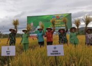 Swasembada Pangan Wujud Nyata Asta Cita Presiden Prabowo