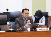 Momentum Bulan Kemerdekaan Tercoreng oleh Tren Bendera Bajak Laut