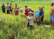 Optimalisasi Teknologi Tinggi dan Pertanian Presisi: Kunci Pemerintah Capai Swasembada Pangan