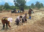 Pemerintah Fokus Menjaga Swasembada Pangan di Tengah Dinamika Demonstrasi