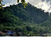 Pulau Gag Jadi Contoh Pertambangan Hijau, Pemerintah Perketat Mitigasi Lingkungan