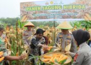 Pemerintah Tegaskan Swasembada Pangan Tak Terganggu Aksi Massa