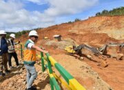 Pemerintah Pastikan Operasi PT Gag Nikel Berjalan Sesuai Aturan Lingkungan