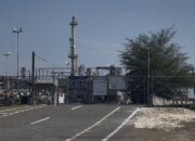 Pemerintah Pacu Swasembada Energi Demi Peluasan Lapangan Kerja