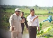 Setahun Pemerintahan Prabowo-Gibran Wujudkan Aksi Nyata untuk Rakyat Sejahtera
