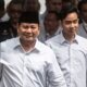 Setahun Pemerintahan Prabowo-Gibran: Indonesia Resmi Capai Swasembada Pangan, Papua Jadi Pusat Pertumbuhan Baru