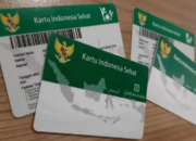 Pemutihan Iuran BPJS Bentuk Nyata Kepedulian Pemerintah pada Generasi Muda