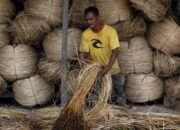 Pemerintah Dorong Hilirisasi Rotan untuk Perkuat Industri Nasional
