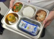 BGN Optimalkan Lahan Produktif untuk Dukung Rantai Pasok MBG