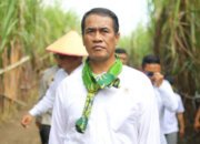 Pemerintah Perkuat Sinergi BUMN dan Swasta Dalam Hilirisasi Pertanian