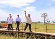 Swasembada Pangan 2025: Komitmen Presiden Prabowo Wujudkan Ketahanan Nasional