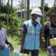 Satu Tahun Prabowo Gibran Sukses Hadirkan Terang di Papua Melalui Listrik Desa