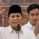 Satu Tahun Pemerintahan Prabowo-Gibran: Indonesia Capai Swasembada Pangan, Merauke Jadi Lumbung Strategis Nasional