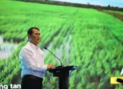 Program Hilirsasi Bagian dari Mesin Pertumbuhan Ekonomi Nasional