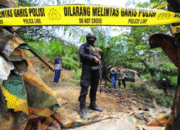 Pemerintah Tegas Tindak Tambang Ilegal Demi Kelestarian Lingkungan