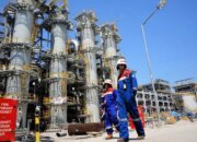 Energi Terbarukan Buka Peluang Pangkas Impor BBM dan Percepat Swasembada Energi