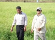 Pemerintah Targetkan 18 Proyek Hilirisasi Rp618 Triliun Hingga Akhir Tahun